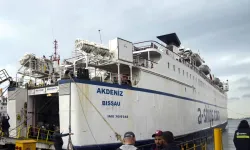 Flags removed from humanitarian ships bound for Gaza