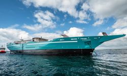 TOWT Celebrates Milestones in Sustainable Sailing Cargo Fleet