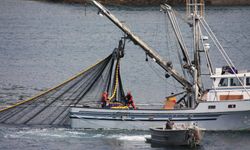 Coast Guard Suspends Search for Survivors of Capsized Alaska Fishing Boat