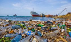 IMO Advances Efforts to Combat Marine Plastic Litter