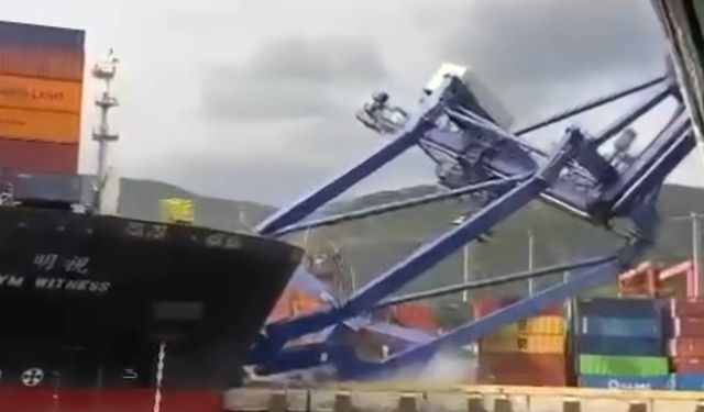 Container ship overturns four cranes at Evyaport Port