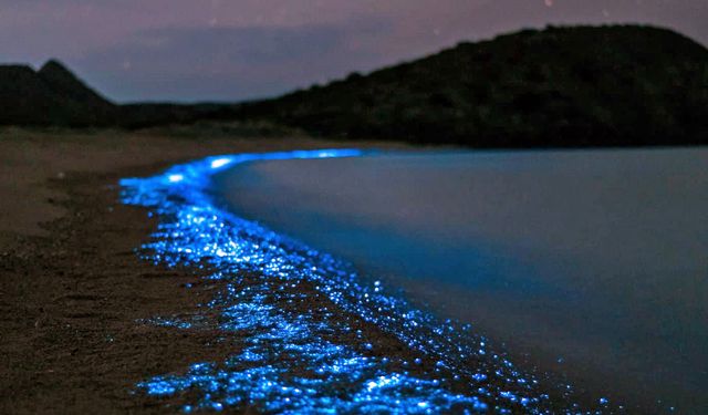 Unveiling the mysteries of the Maldives' enchanting 'Sea of Stars'