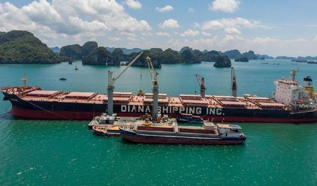 Diana Shipping Secures Charter for Panamax Bulker with Cargill