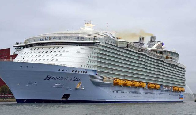 Child Dies After Falling from Deck Aboard Royal Caribbean Cruise Ship