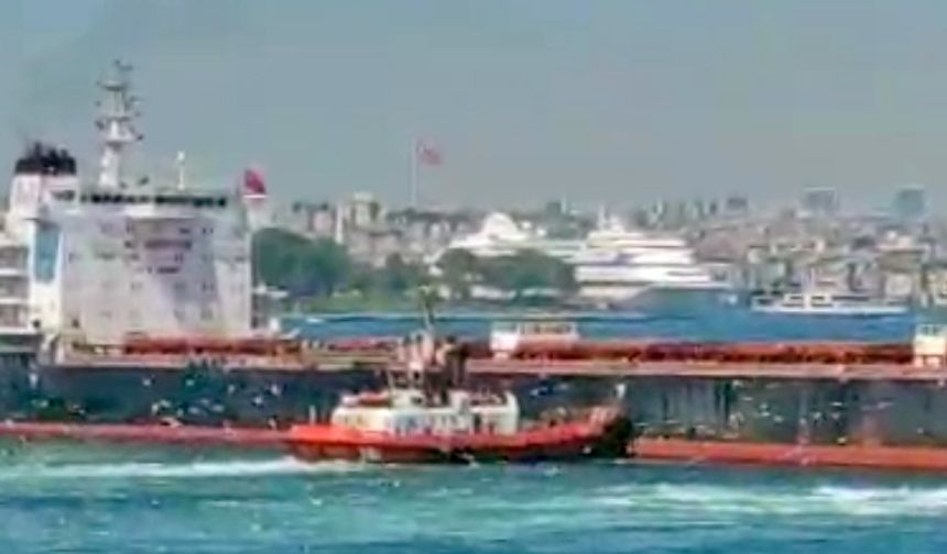 Bulk Carrier Alexis runs aground in Istanbul
