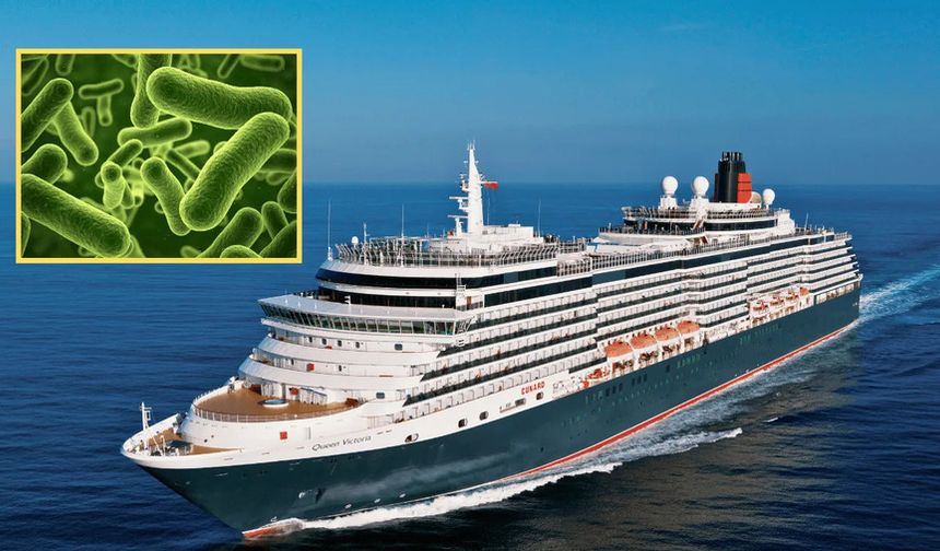 Norovirus Outbreaks Hit Three Cruise Ships in December