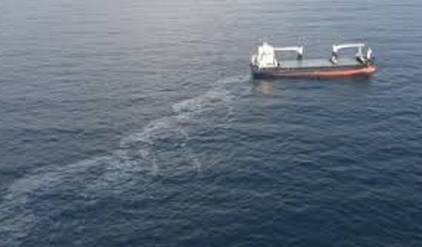 Panama-Flagged ISA Star Cargo Ship Abandoned Near Bab al-Mandab Strait