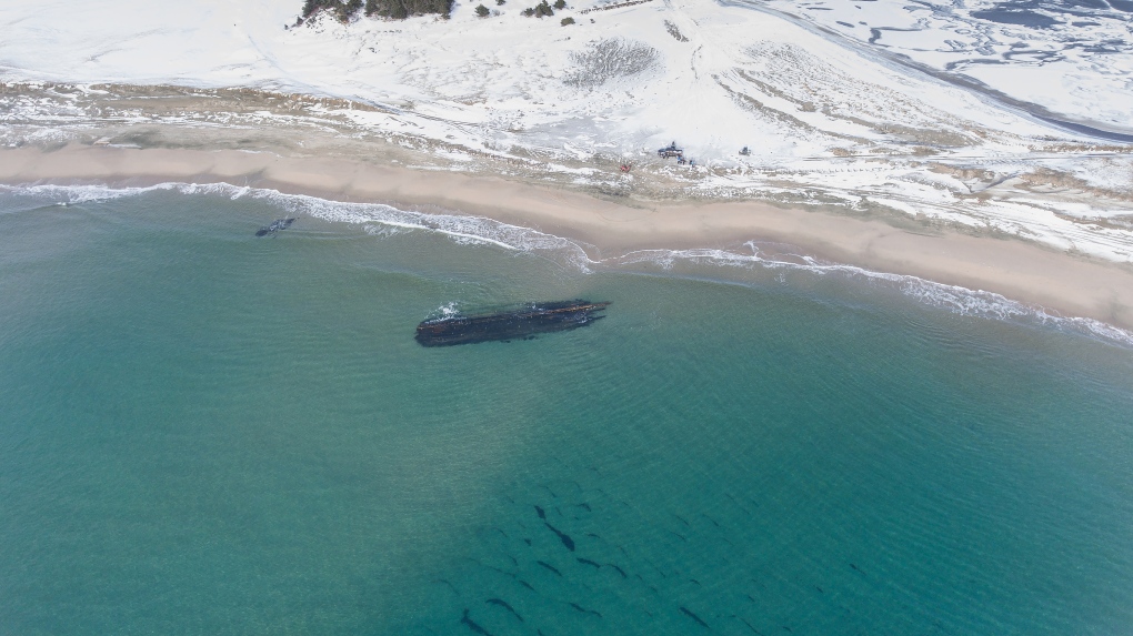 Mystérieux naufrage sur la côte canadienne Shipwreck-1-6745451-1706411369971